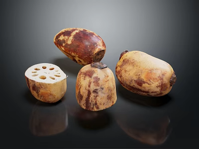 Fresh Organic Lotus Root Vegetables Sliced and Whole on Black Background 3d model