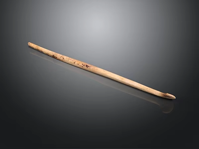 Long Wooden Carved Sculpture With Intricate Surface Details On Dark Reflective Background 3d model