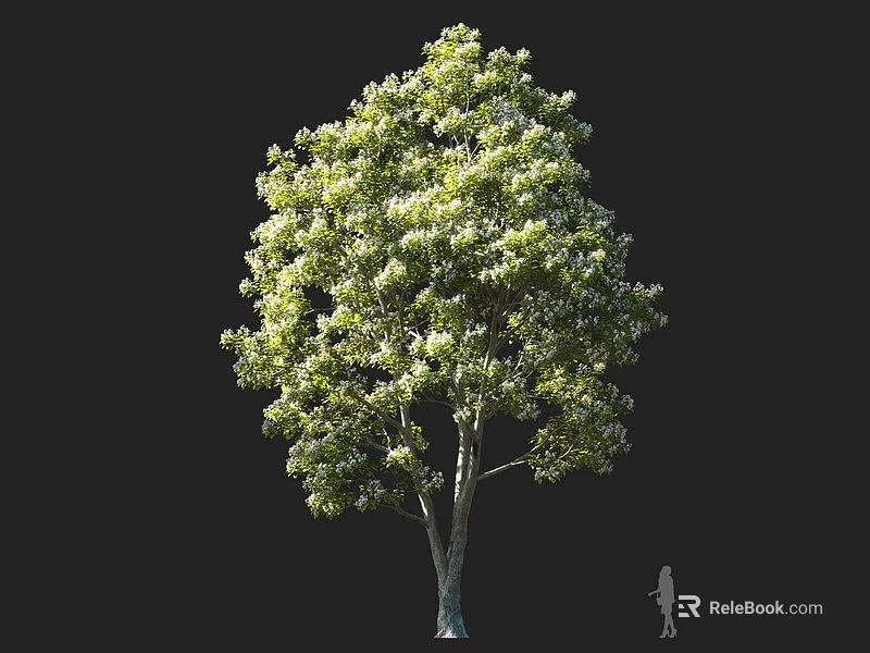 Tall Lush Arbor With Dense Green Leaves And White Flowers 3d model 