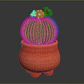 Green Spherical Cactus With Yellow Spines And Pink Flowers In Red Terracotta Legged Pot