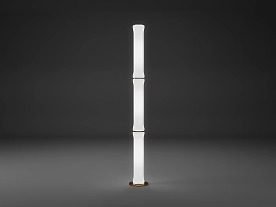 Modern Minimalist Floor Lamp With Tall White Cylindrical Column And Metal Base 3d model