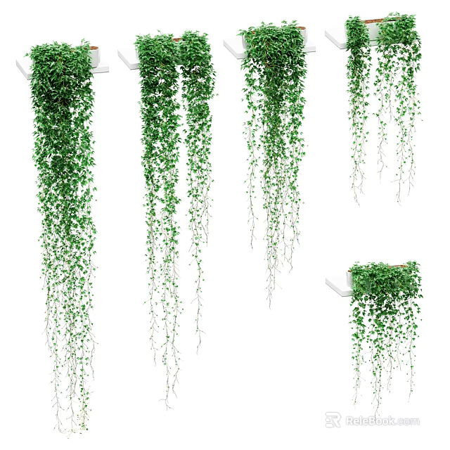 Green Hanging Vines With Lush Leaves Draping From Shelves And Planters For Natural Decorative 3d model 