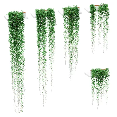 Green Hanging Vines With Lush Leaves Draping From Shelves And Planters For Natural Decorative 3d model
