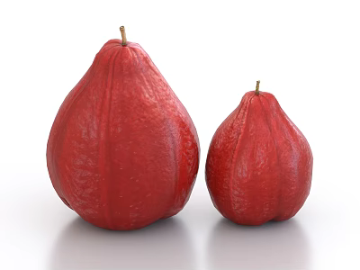 Two Fresh Red Wax Apples of Different Sizes Displayed on White Background 3d model