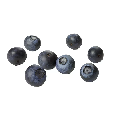 blueberry fruit food 3d model