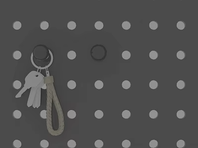 Gray Swing Door With Perforated Panel And Keychain With Braided Rope Keys 3d model