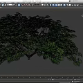 Lush Green Arbor Trees With Dense Foliage And Spreading Canopy 3d model