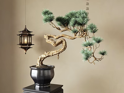 Traditional Pine Bonsai Tree in Black Pot with Hanging Lantern on Wooden Stand 3d model