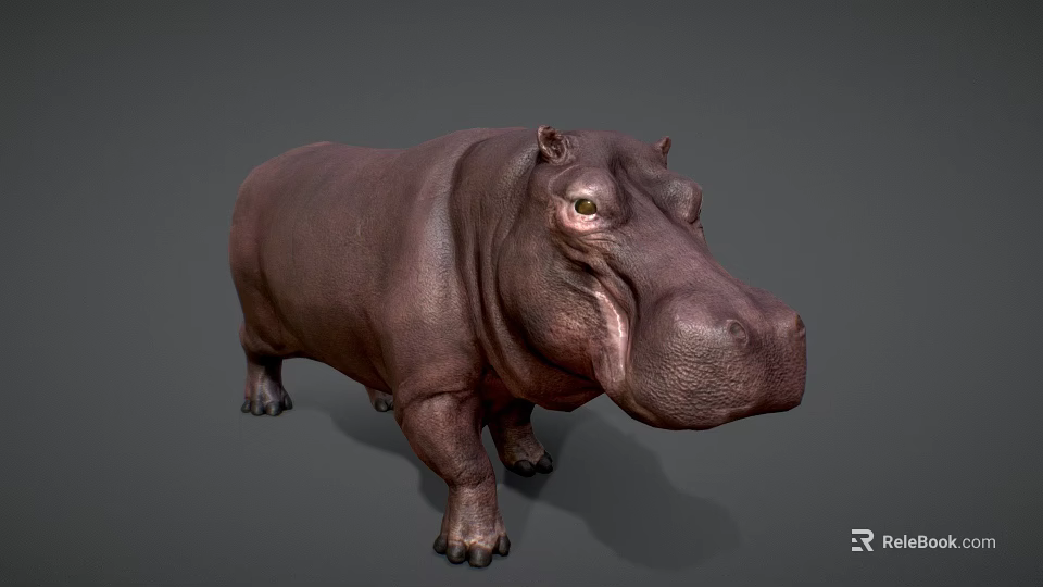 Realistic Hippopotamus 3D Character Model for Game and Film Projects 3d model 