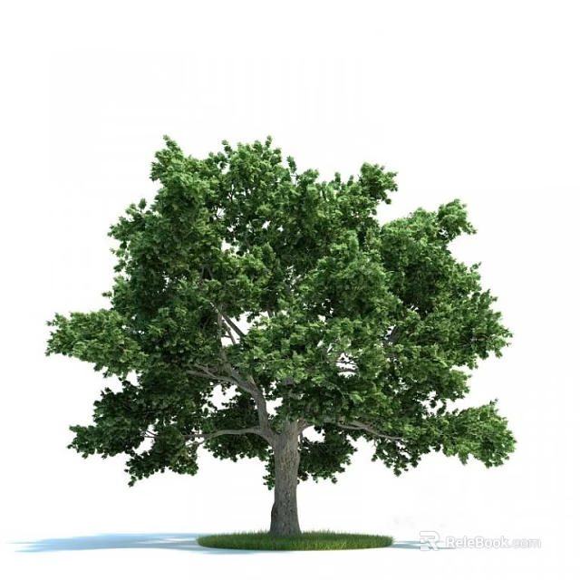Lush Green Arbor With Dense Foliage And Strong Trunk Structure 3d model 