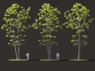 forest clump big tree tall pole street tree pool flower bed solitary tree planting autumn plants model