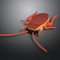 Orange Cockroach With Black Head Long Antennae And Multiple Legs On Dark Background
