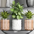 Various Green Potted Plants On Circular Metal Shelf With Gray Wooden And White Pots