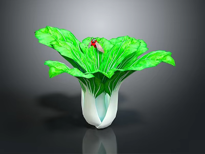 Red Ladybug Crawling On Green Leafy Cabbage With Fresh Vibrant Leaves 3d model