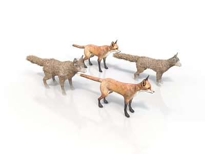 Four Realistic Fox Figurines in Standing Pose with Brown and Gray Fur on White Background 3d model