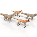 Four Realistic Fox Figurines in Standing Pose with Brown and Gray Fur on White Background