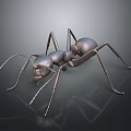 Ant as Metallic 3D Model With Shiny Surface And Reflection On Dark Background 3d model