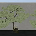 Modern Pine Welcome Pine 3d model