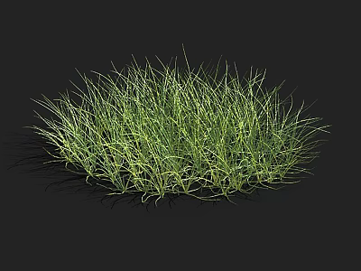Lush Green Aquatic Plants With Clustered Leaves In Natural Water Environment 3d model