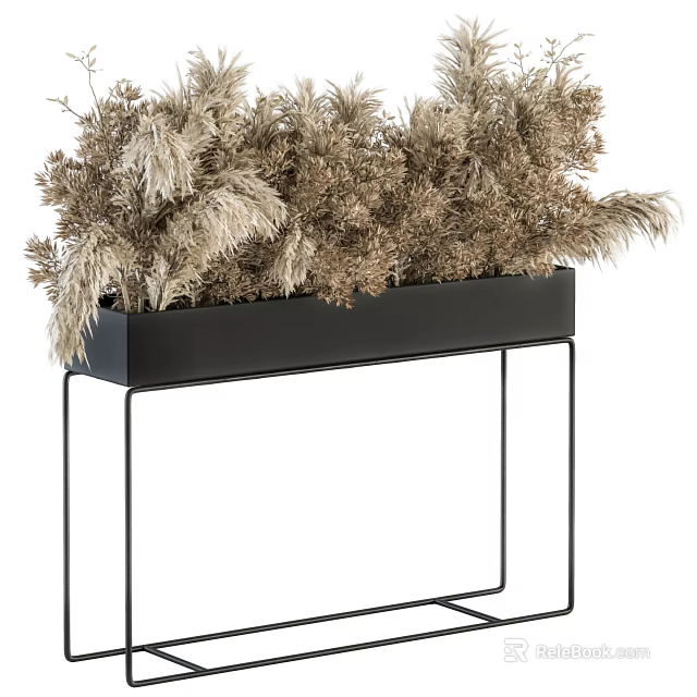 Modern Dried Potted Plant In Black Rectangular Planter With Metal Stand 3d model