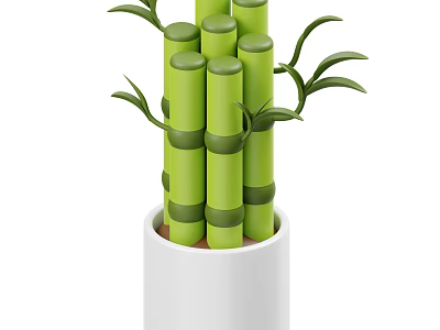 Bamboo Plant With Green Stems And Fresh Leaves In White Pot 3d model