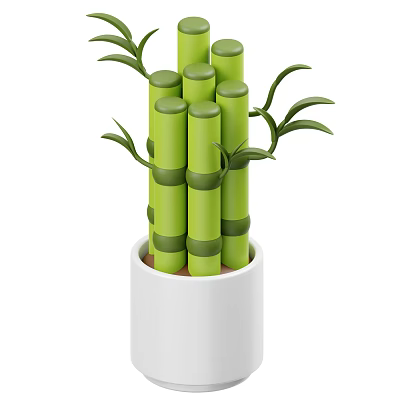 Bamboo Plant With Green Stems And Fresh Leaves In White Pot 3d model