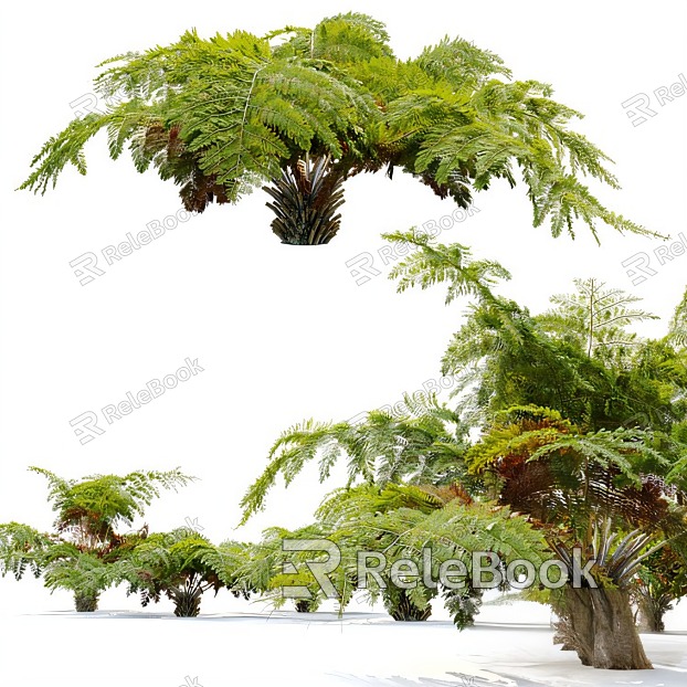 fern plant model