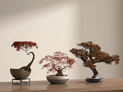 Bonsai Plants with Red Brown Leaves on Wooden Table White Black Wooden Pots 3d model