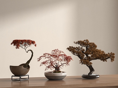 New Chinese Pine Bonsai Pohan Pine Potted Plant 3d model