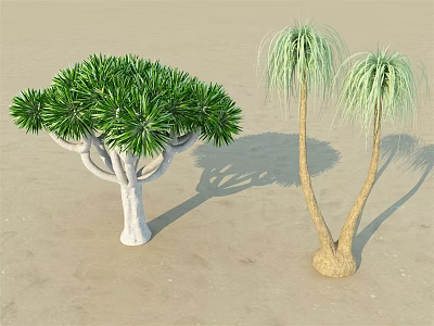 Various Arborescent Trees Featuring Green Leaves White and Yellow Trunks on Sandy Ground 3d model