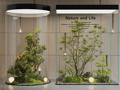 Indoor Landscape Design With Glass Enclosures Tree Moss Small Plants Stones And Lighting 3d model