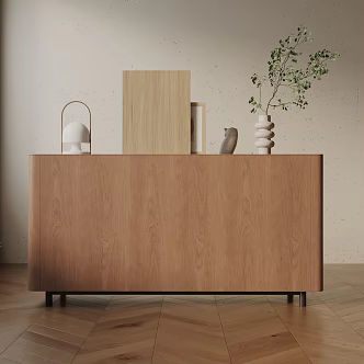 Modern Entrance Cabinet 3d model