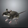 Cute 3D Mouse Character With Gray Body Pink Ears And Long Tail