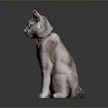 Gray Cat with Red Collar Green Eyes Sitting on Shiny Black Surface Against Dark Background