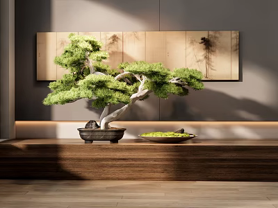 Indoor Bonsai Tree Display On Wooden Platform With Background Painting And Soft Light 3d model