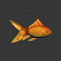 Golden Orange Goldfish With Large Tail On Smooth Surface And Reflection 3d model