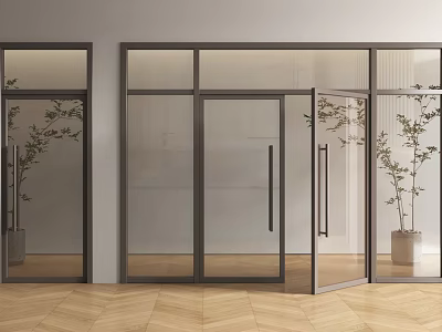 Modern Glass Double Doors With Dark Frame And Green Plants On Wooden Floor 3d model