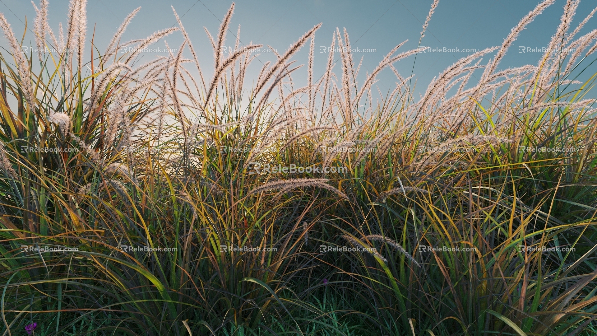 combination of flowers and plants landscape shrubs shrubs plant combination natural landscape weeds 3d model