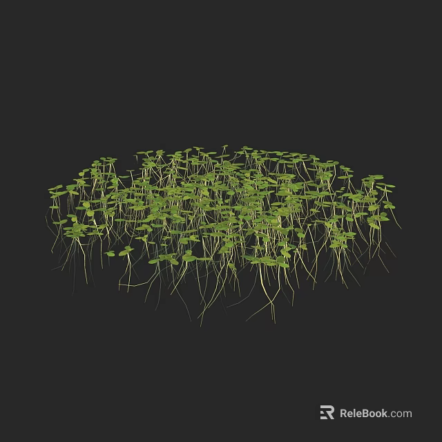 Green Seedlings With Visible Roots Growing In Dense Cluster Formation On Black Background 3d model 