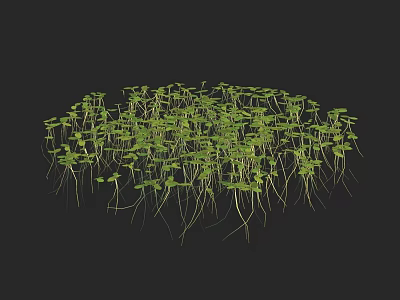 Green Seedlings With Visible Roots Growing In Dense Cluster Formation On Black Background 3d model