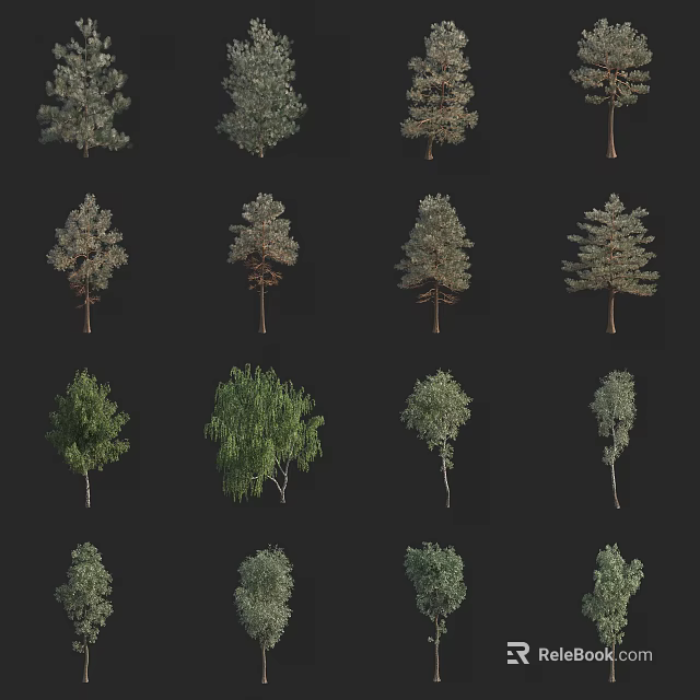 Various Types of Arbor Trees with Diverse Foliage and Natural Trunk Shapes 3d model 