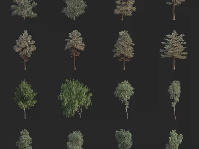 Various Types of Arbor Trees with Diverse Foliage and Natural Trunk Shapes 3d model