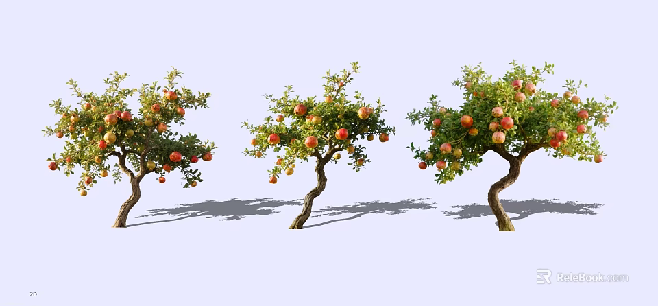 Pomegranate Trees With Curved Trunks Red Orange Fruits And Green Leaves 3d model 