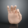 Detailed Anatomical Hand 3D Model With Smooth Texture Light Color And Dark Background