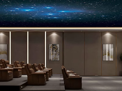 Luxury Cinema Interior With Starry Ceiling Comfortable Seats And Decorative Paintings 3d model