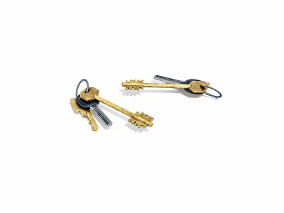 Two Golden and Black Keys with Key Rings Isolated on White Background 3d model