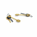 Two Golden and Black Keys with Key Rings Isolated on White Background
