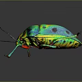Colorful Vibrant Insect With Green Yellow Blue Body Red Legs Shiny Exoskeleton On Dark Background