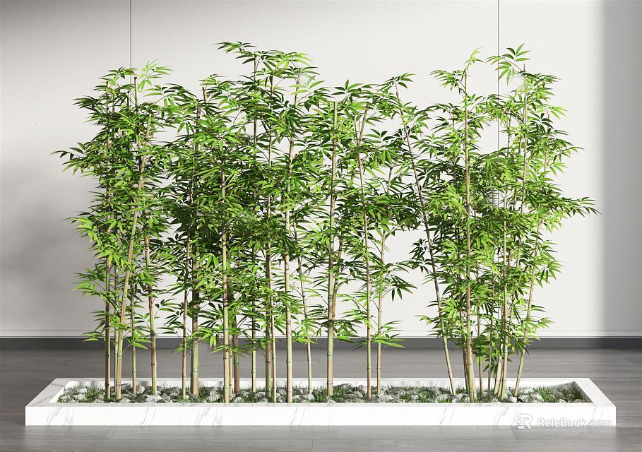 Green Bamboo Plants With Lush Leaves And Tall Stems In Modern Indoor Planter 3d model 