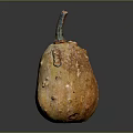 Speckled Bumpy Tan Gourd With Stem As Fresh Organic Food